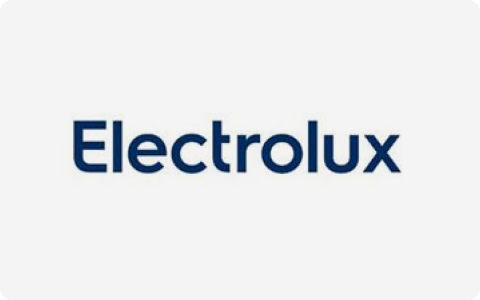 Logo of Electrolux, a global appliance brand supplied by Meituo for precision metal components.