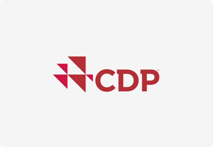 CDP environmental data disclosure logo, showing participation in annual environmental data reporting